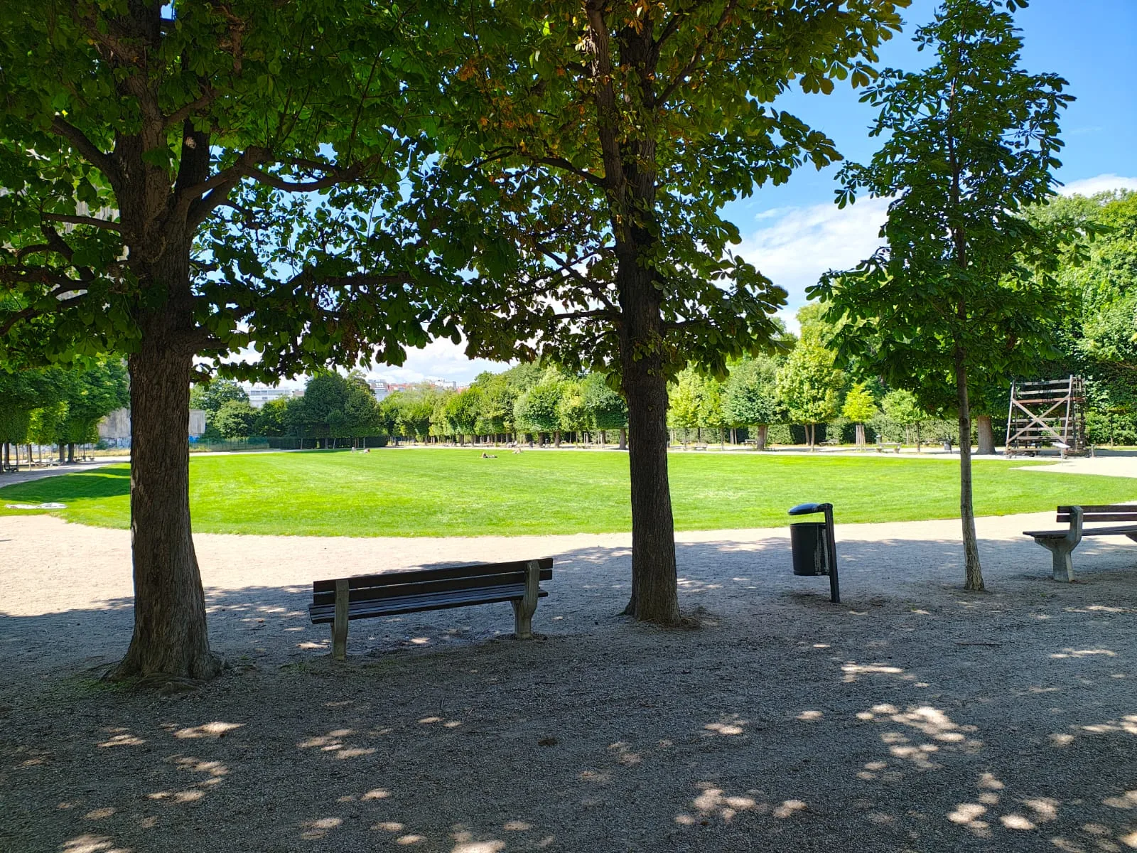 Wiese im Augarten, im Vordergrund Bäume mit Schatten und eine Parkbank
