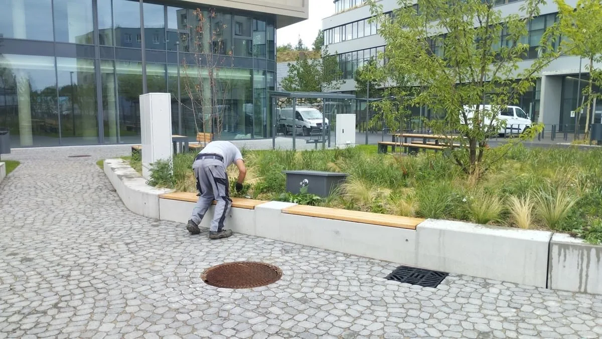Grünwert-Mitarbeiter pflanzt an einer Sitzkante aus Beton vor einer Glasfassade