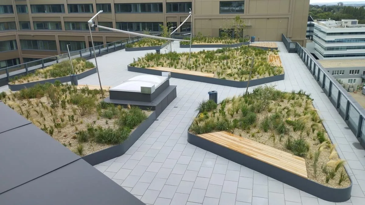 Dachterrasse mit geschwungenen Gräserinseln und Sitzflächen aus Holz