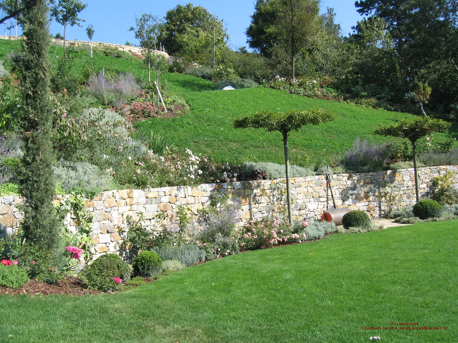 Hanggarten mit Natursteinmauer, blühendem Staudenbeet, Schirmbäumchen und Rasen